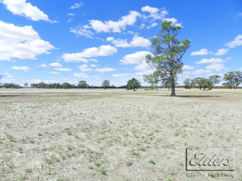 Cnr Elmore – Raywood Road and Bacons Road, Kamarooka VIC 3570