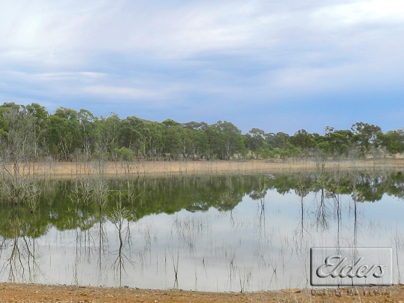 61 Whiskey Island Drive, Strathfieldsaye VIC 3551