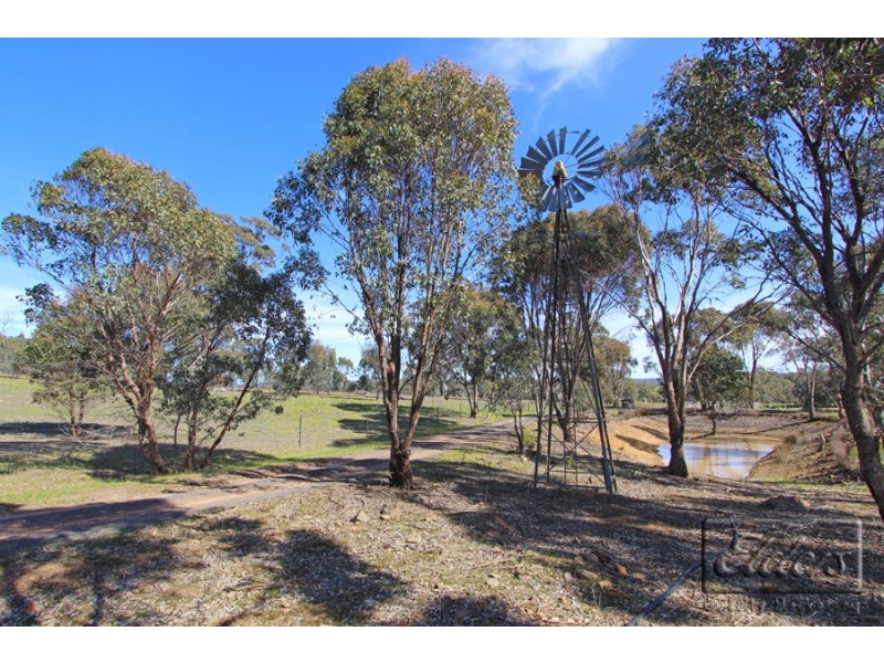 551 Axe Creek Road, Axe Creek VIC 3551