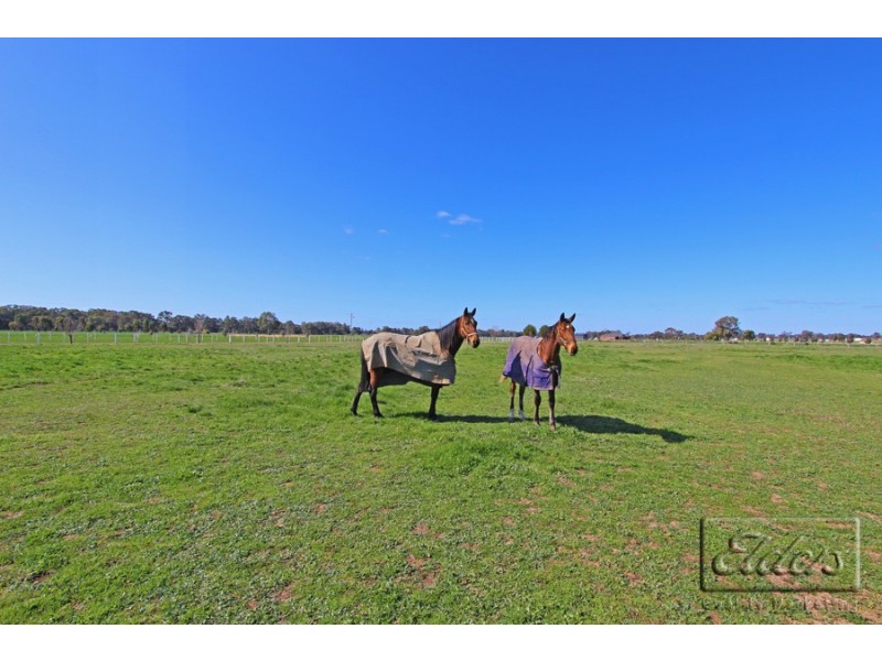 151 Bendigo – Tennyson Road, Huntly VIC 3551