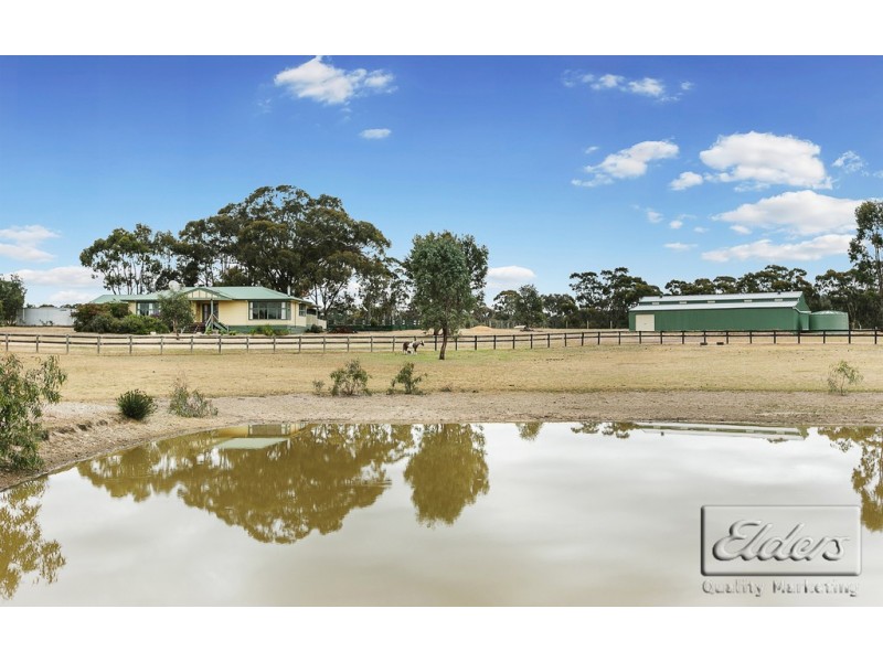 1017 Axe Creek Road, Axe Creek VIC 3551