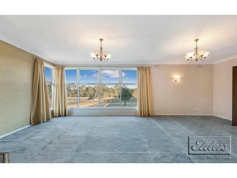 1017 Axe Creek Road, Axe Creek VIC 3551