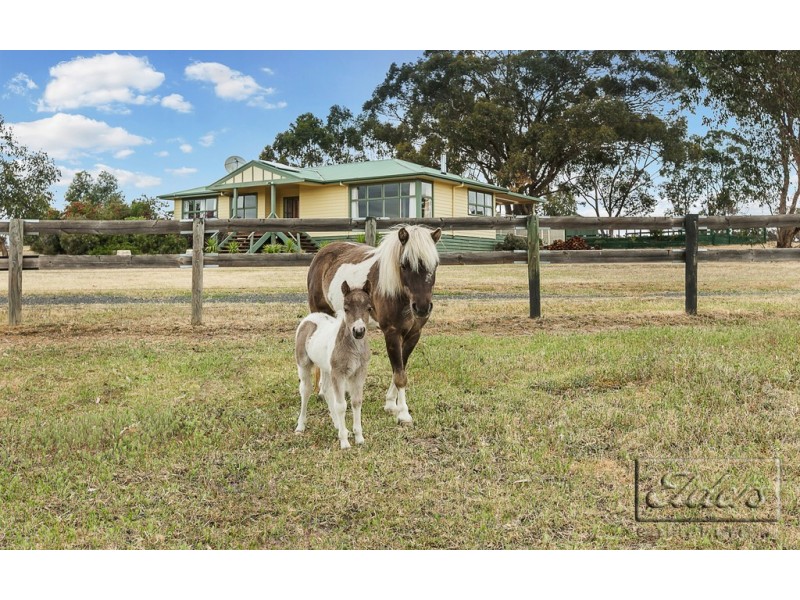 1017 Axe Creek Road, Axe Creek VIC 3551