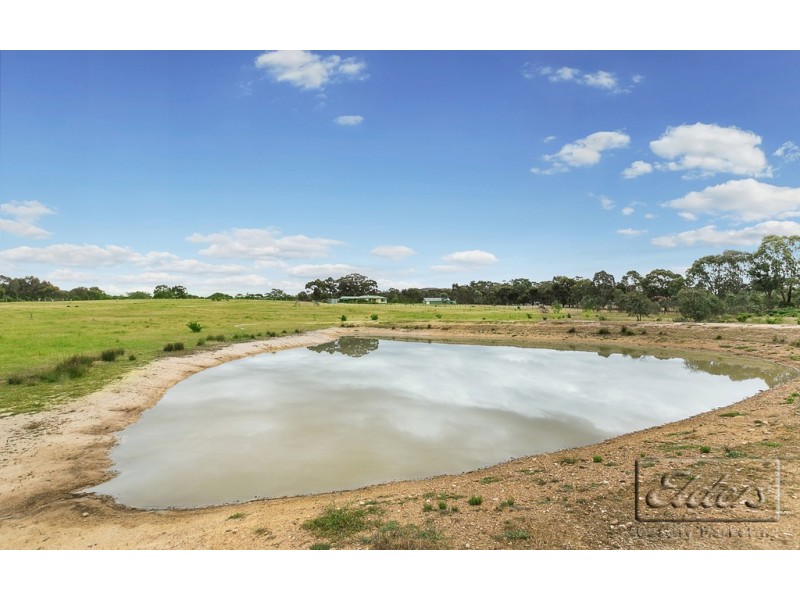1017 Axe Creek Road, Axe Creek VIC 3551