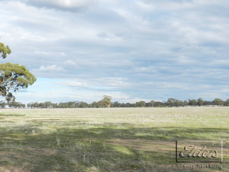 Lot 1 Boort-Kurting Road, Korong Vale VIC 3520