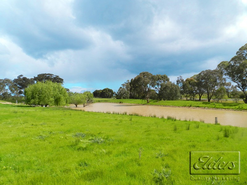 625 Baringhup Road, Baringhup VIC 3463