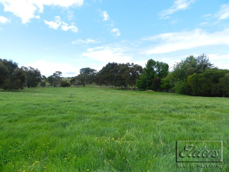 625 Baringhup Road, Baringhup VIC 3463