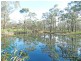 CA 43 Callaghan Road, Jackass Flat VIC 3556