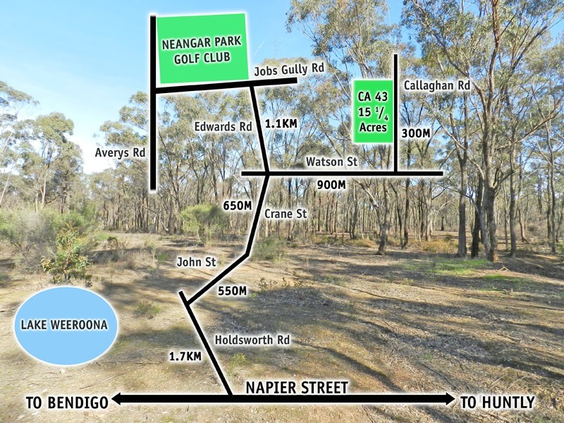 CA 43 Callaghan Road, Jackass Flat VIC 3556