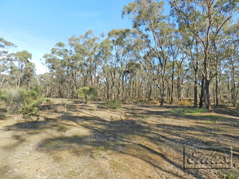 CA 43 Callaghan Road, Jackass Flat VIC 3556