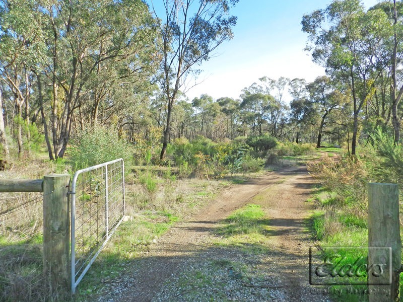 CA 43 Callaghan Road, Jackass Flat VIC 3556