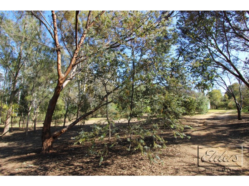 493 Maldon – Newstead Road, Welshmans Reef VIC 3462