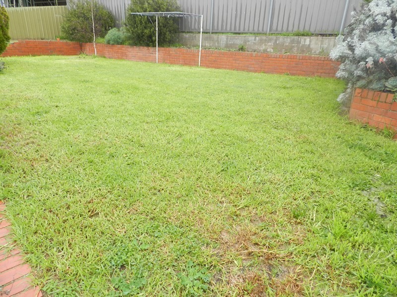 21 Caledonia Street, North Bendigo VIC 3550