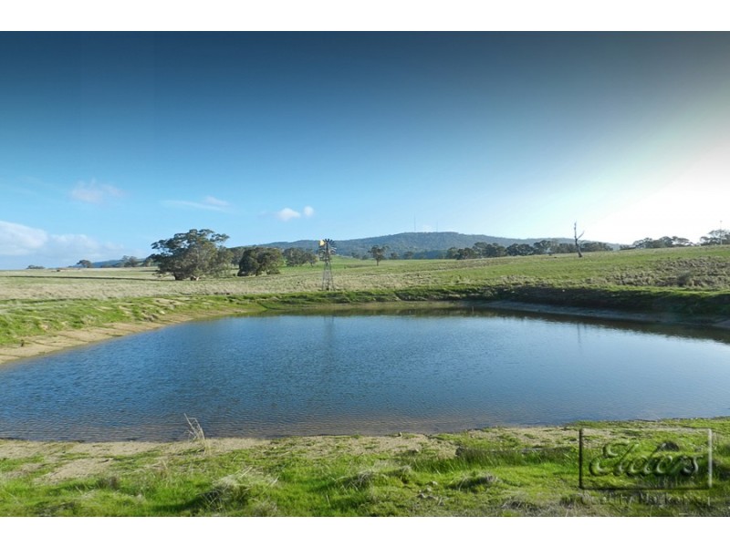 1445 Bendigo-Sutton Grange Road, Sutton Grange VIC 3448