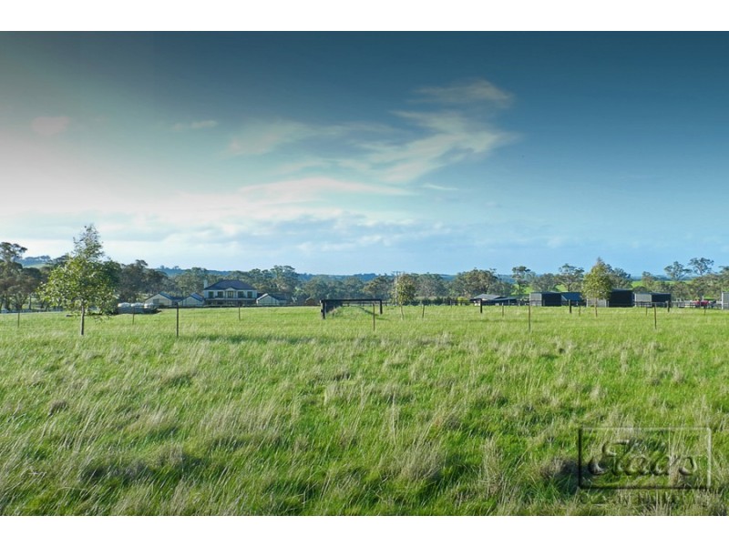 1445 Bendigo-Sutton Grange Road, Sutton Grange VIC 3448