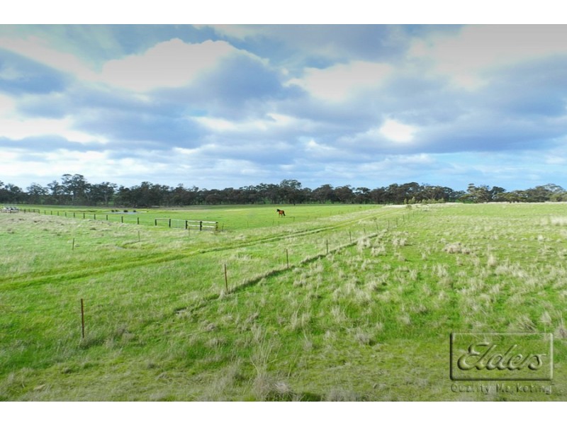 1445 Bendigo-Sutton Grange Road, Sutton Grange VIC 3448