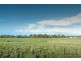 1445 Bendigo-Sutton Grange Road, Sutton Grange VIC 3448