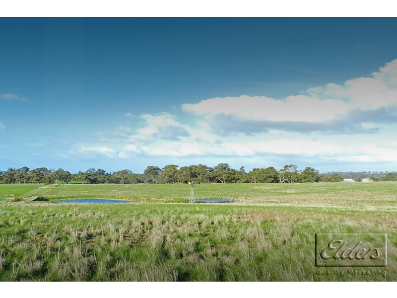 1445 Bendigo-Sutton Grange Road, Sutton Grange VIC 3448