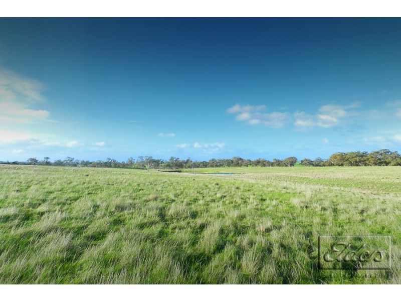 1445 Bendigo-Sutton Grange Road, Sutton Grange VIC 3448
