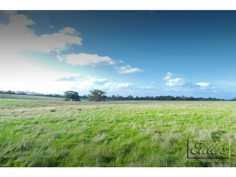 1445 Bendigo-Sutton Grange Road, Sutton Grange VIC 3448