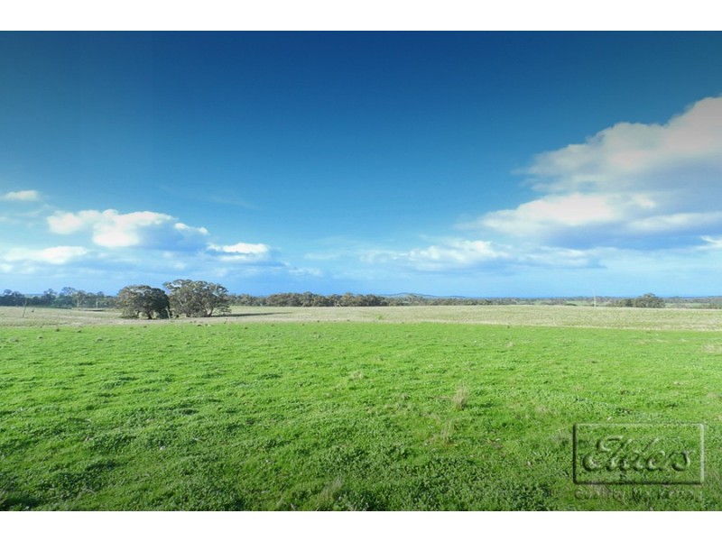 1445 Bendigo-Sutton Grange Road, Sutton Grange VIC 3448