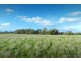 1445 Bendigo-Sutton Grange Road, Sutton Grange VIC 3448