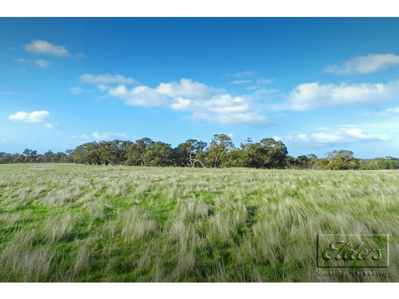 1445 Bendigo-Sutton Grange Road, Sutton Grange VIC 3448