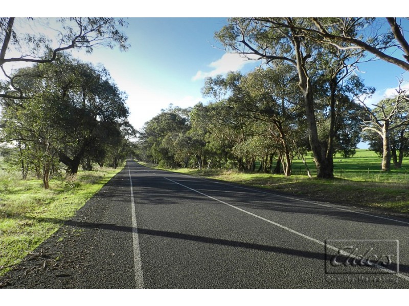 1445 Bendigo-Sutton Grange Road, Sutton Grange VIC 3448