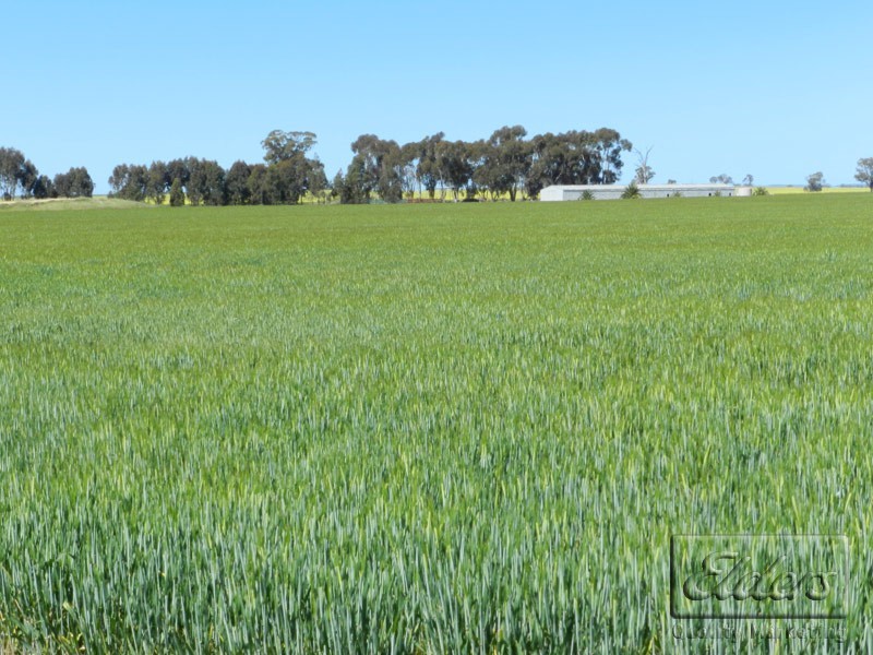 285 Bells Lucas Road, Marong VIC 3515