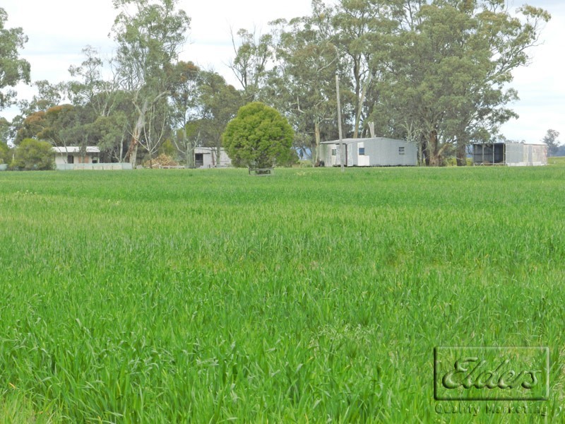 54 Groves Weir Road, Wanalta VIC 3612