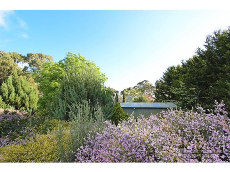 20 Golf Links Lane, Heathcote VIC 3523