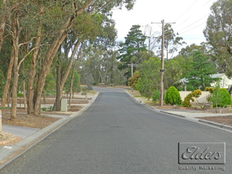 29 Cousins Street, Strathdale VIC 3550