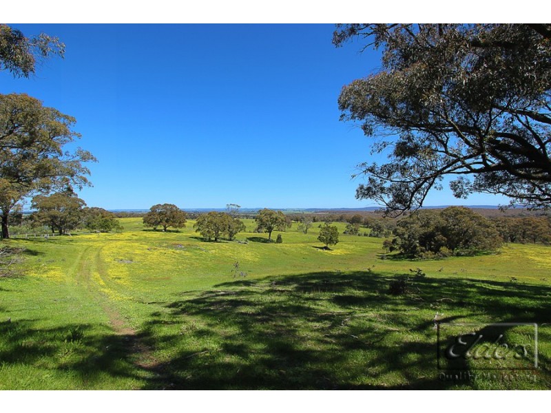 59 Mactiers Lane, Malmsbury VIC 3446