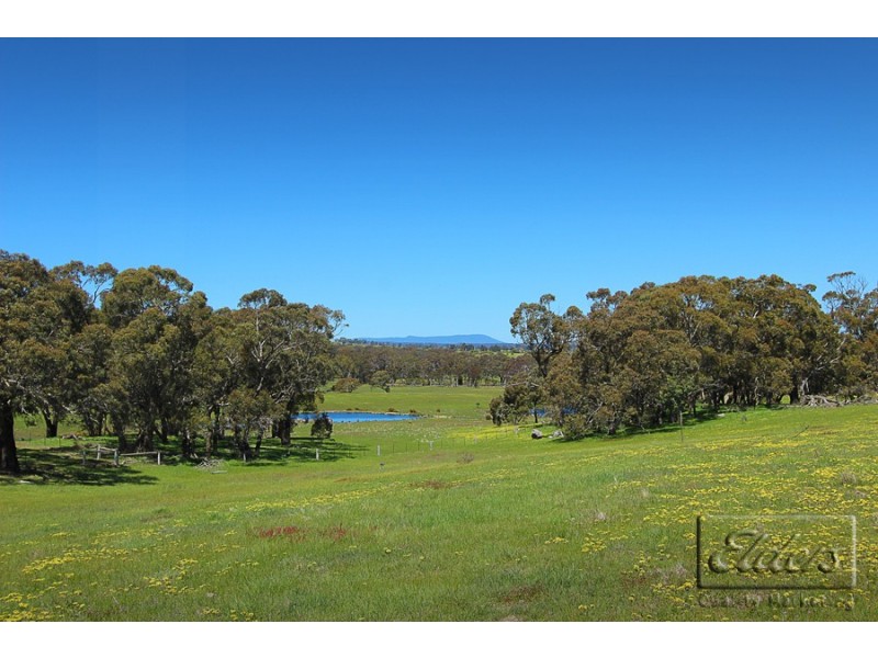 59 Mactiers Lane, Malmsbury VIC 3446