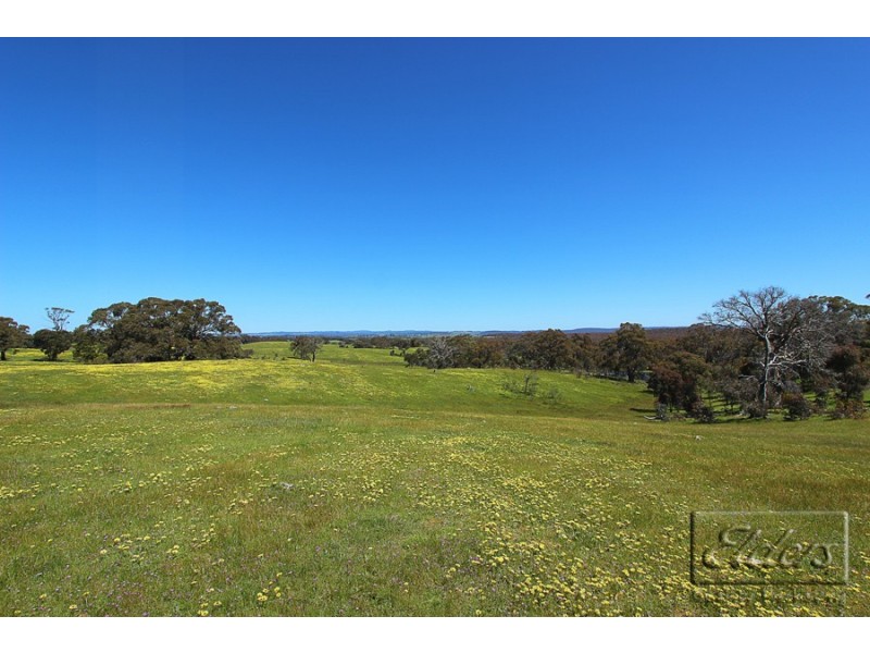 59 Mactiers Lane, Malmsbury VIC 3446