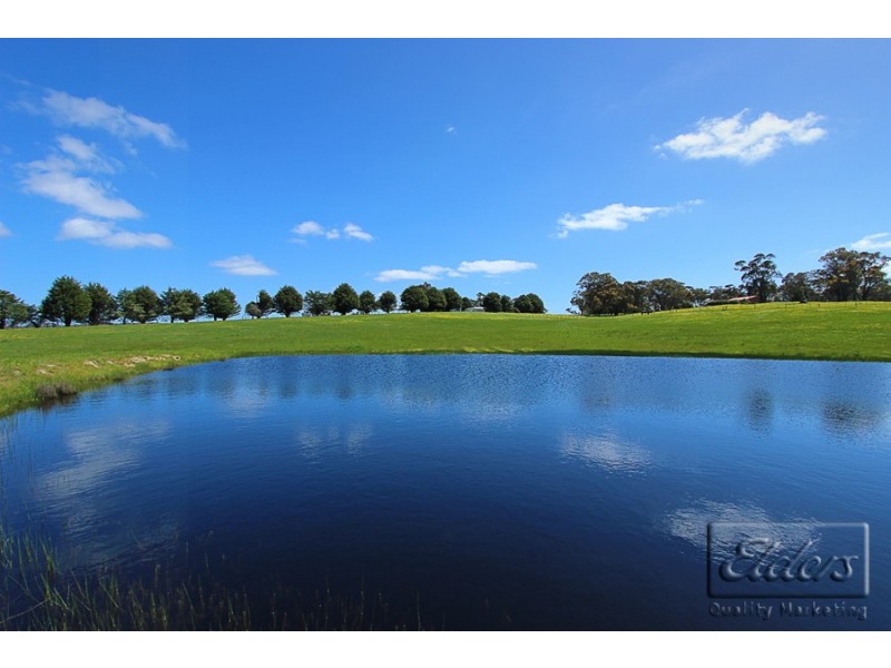 59 Mactiers Lane, Malmsbury VIC 3446