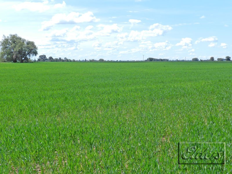 4382 Loddon Valley Highway, Serpentine VIC 3517