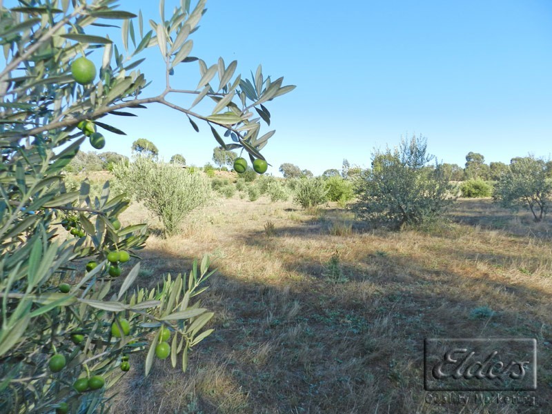 1A Section 9 Cnr Doles and Mechan Roads, Eppalock VIC 3551