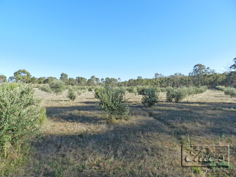 1A Section 9 Cnr Doles and Mechan Roads, Eppalock VIC 3551
