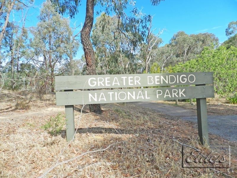 33 Cousins Street, Strathdale VIC 3550