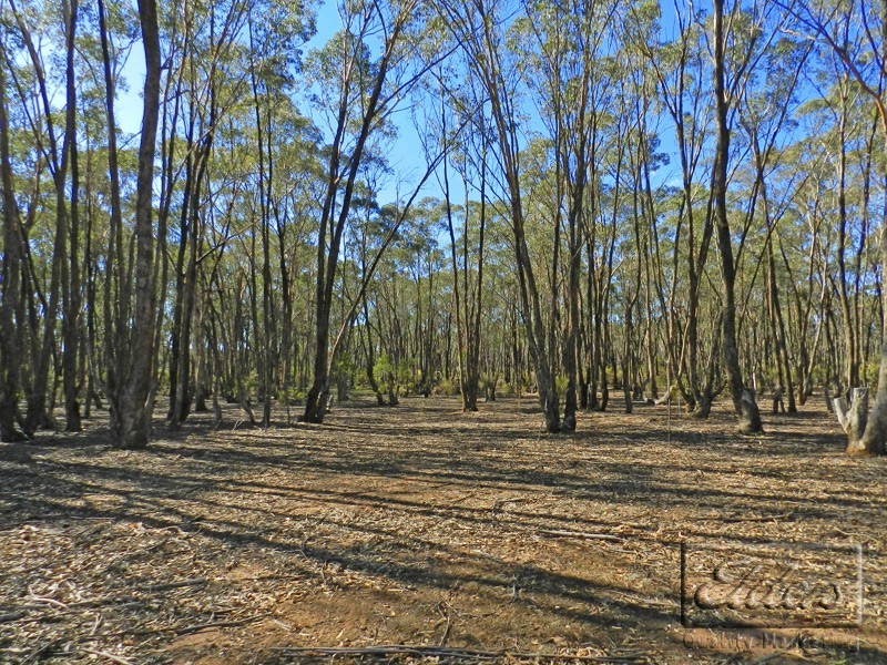 CA 7 Gees Road, Woodvale VIC 3556