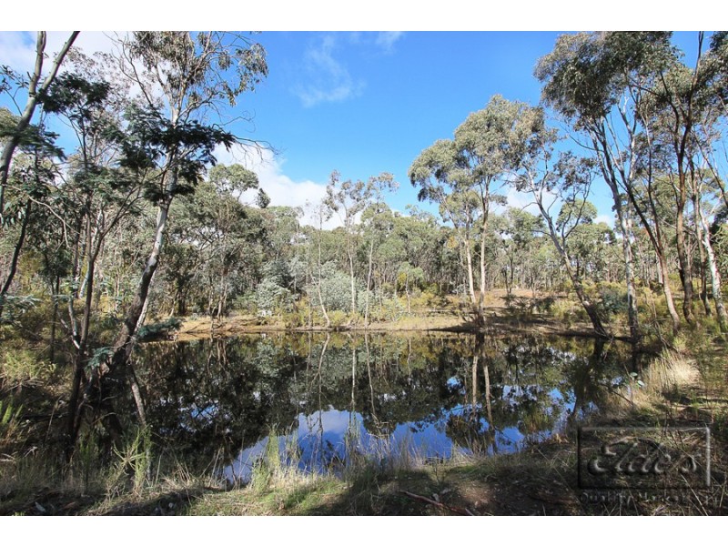 166 Blackjack Road, Harcourt VIC 3453