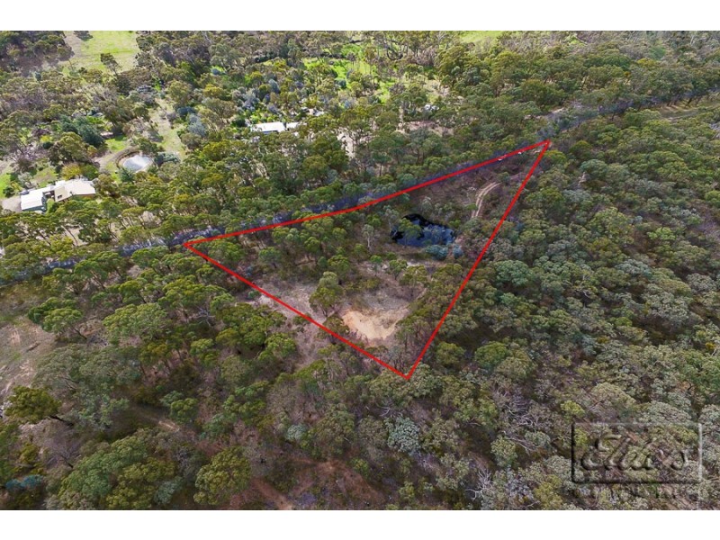 166 Blackjack Road, Harcourt VIC 3453