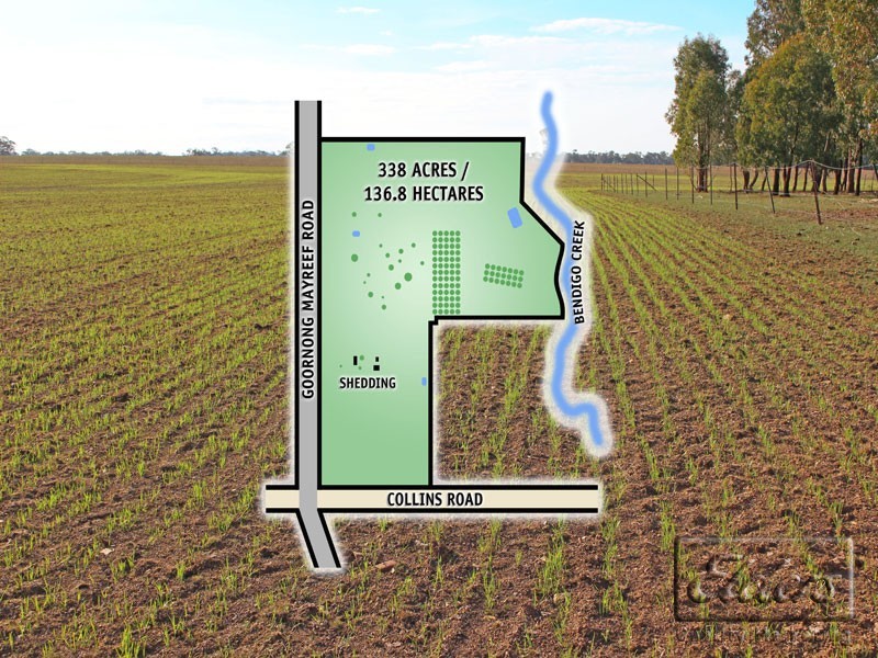 Corner Collins Road and Goornong-Mayreef Road, Goornong VIC 3557