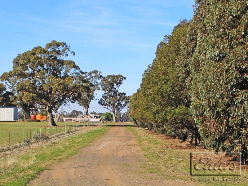 Corner Collins Road and Goornong-Mayreef Road, Goornong VIC 3557