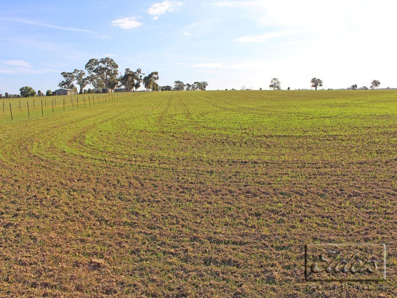 Corner Collins Road and Goornong-Mayreef Road, Goornong VIC 3557