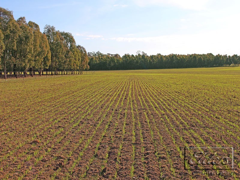 Corner Collins Road and Goornong-Mayreef Road, Goornong VIC 3557