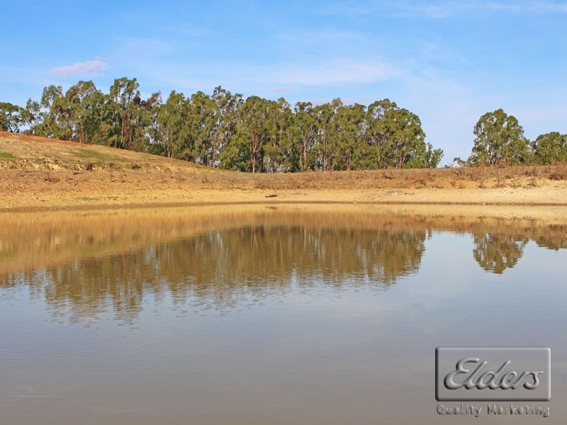 Corner Collins Road and Goornong-Mayreef Road, Goornong VIC 3557