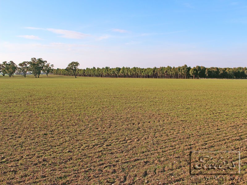 Corner Collins Road and Goornong-Mayreef Road, Goornong VIC 3557