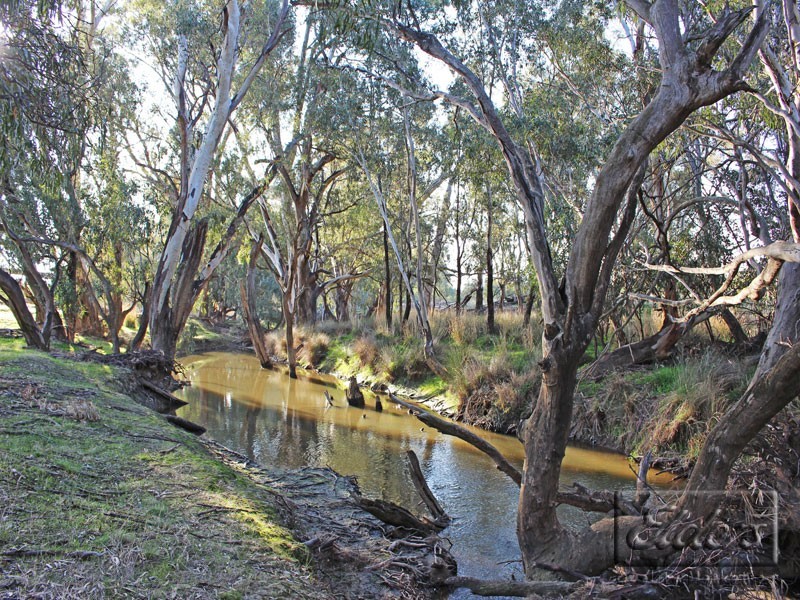 Corner Collins Road and Goornong-Mayreef Road, Goornong VIC 3557